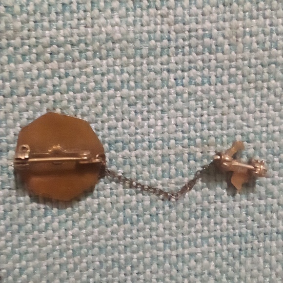 Vintage future homemakers of America toward New horizons lapel pin - Picture 3 of 4